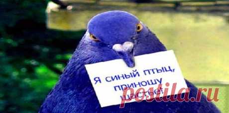 5 ЭФФЕКТИВНЫХ СПОСОБОВ ВОПЛОТИТЬ СВОЮ МЕЧТУ В РЕАЛЬНОСТЬ. | Познавательный сайт ,,1000 мелочей&quot;