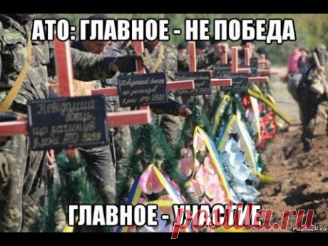 Антимайдан Балаклея