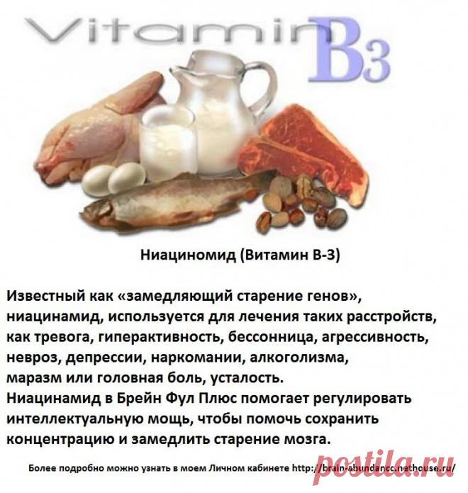 Основные ингредиенты Продукта Брейн Фул Плюс:
Ниациномид (Витамин В-3)
Известный как «замедляющий старение генов», ниацинамид, используется для лечения таких расстройств, как тревога, гиперактивность, бессонница, агрессивность, невроз, депрессии, наркомании, алкоголизма, маразм или головная боль, усталость. Ниацинамид в Брейн Фул Плюс помогает регулировать интеллектуальную мощь, чтобы помочь сохранить концентрацию и замедлить старение мозга.