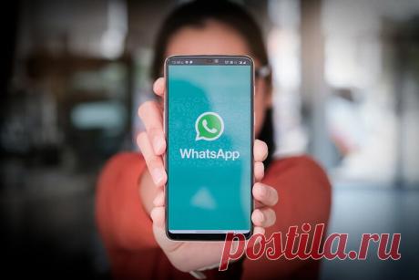 5 отличных функций в WhatsApp, которые должен знать каждый пользователь | ТехноКонтент | Яндекс Дзен