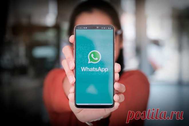5 отличных функций в WhatsApp, которые должен знать каждый пользователь | ТехноКонтент | Яндекс Дзен