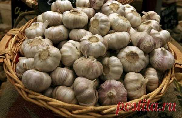 Эта женщина кинула чеснок в кипящее молоко. Итог стал спасением для всей семьи!