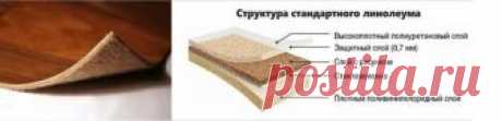 Как выбрать линолеум? | Студия - Уюта "АКВАМАРИН" | Яндекс Дзен