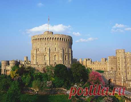 Visit