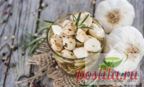 7 рецептов для здоровья почек и сосудов. Даже тяжелые болезни лечит знаменитая настойка чеснока Очищение почек ⇒ Очищение почек можно сделать, используя настой сырых тыквенных семечек. Для этого нужно вечером залить нужный объем сырья 0.5 л кипятка, а на утро полученный раствор процедить и выпить несколькими глотками в течение дня. Повторять эту процедуру необходимо ежедневно на протяжении двух недель, постоянно приготавливая свежий целебный отвар. ⇒ Также хорошо помогают при …