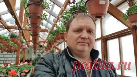 Мой подробный способ укоренения сортовой пеларгонии .