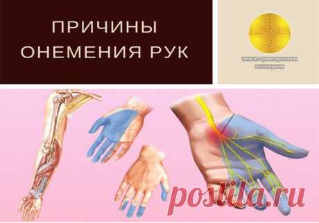 ПРИЧИНЫ ОНЕМЕНИЯ РУК.

Каждый хоть раз в жизни испытывал чувство онемения в конечности после длительного нахождения в неудобном положении. Потеря чувствительности тут же сменяется ощущением покалывания, и через несколько минут функция руки или ноги приходит в норму.

Это происходит вследствие временного нарушения кровообращения и иннервации конечности, так как сдавливаются сосуды и нервы. Стоит изменить положение, и они восстановятся.
Показать полностью…