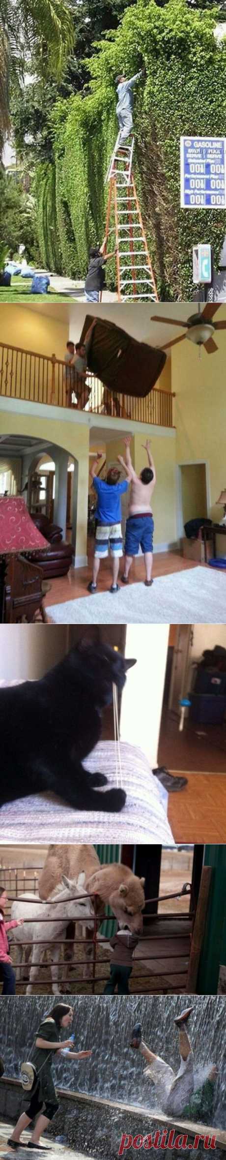 35 улётных фото, сделанных «за секунду до…»