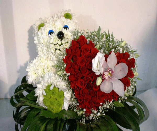 ОРИГИНАЛЬНЫЕ ПОДАРКИ      ИЗ  ЖИВЫХ ЦВЕТОВ