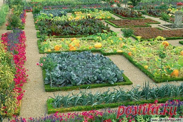“Дедовские” способы защиты растений — 6 соток
