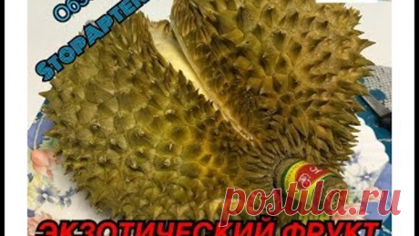 ТРОПИЧЕСКИЙ ФРУКТ ДУРИАН НА ВКУС И ЗАПАХ! ОБЗОР И ДЕГУСТАЦИЯ ОТ СТОПАПТЕКИ!