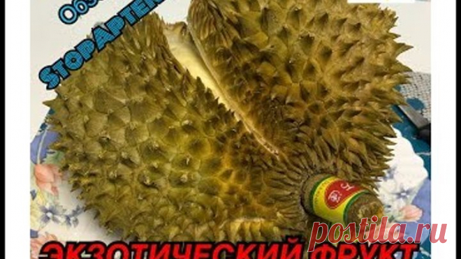 ТРОПИЧЕСКИЙ ФРУКТ ДУРИАН НА ВКУС И ЗАПАХ! ОБЗОР И ДЕГУСТАЦИЯ ОТ СТОПАПТЕКИ!