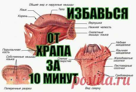 Как за 10 минут ИЗБАВИТЬСЯ ОТ ХРАПА НАДОЛГО!