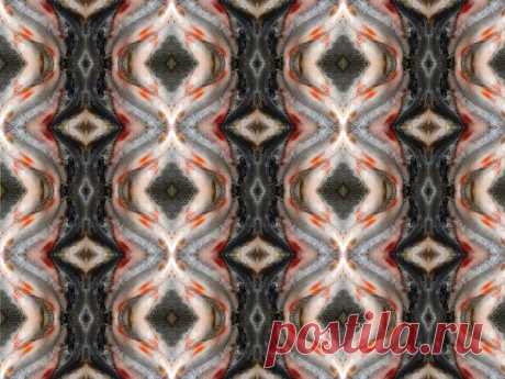 Это плотва... под другим ракурсом, сочиняю  узорчики...        
(4371) Ответы@Mail.Ru: Что делать домохозяйке?