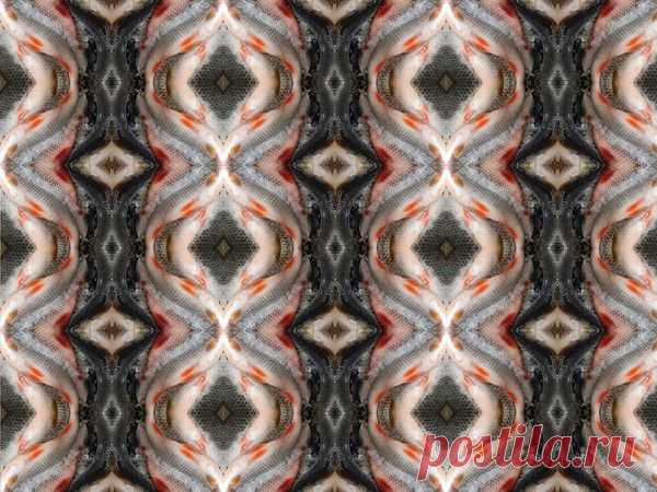 Это плотва... под другим ракурсом, сочиняю  узорчики...        
(4371) Ответы@Mail.Ru: Что делать домохозяйке?