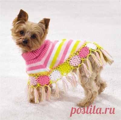 накидка для молли