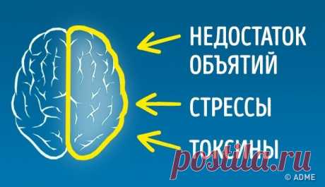 Недостаток контакта с матерью приводит к повышенной двигательной возбудимости и сказывается на формировании в мозге нейронных связей, которые отвечают за самоконтроль и социализацию.
Самая серьезная ошибка, которую допускают родители в воспитании мальчиков