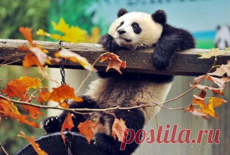 Интересные новости