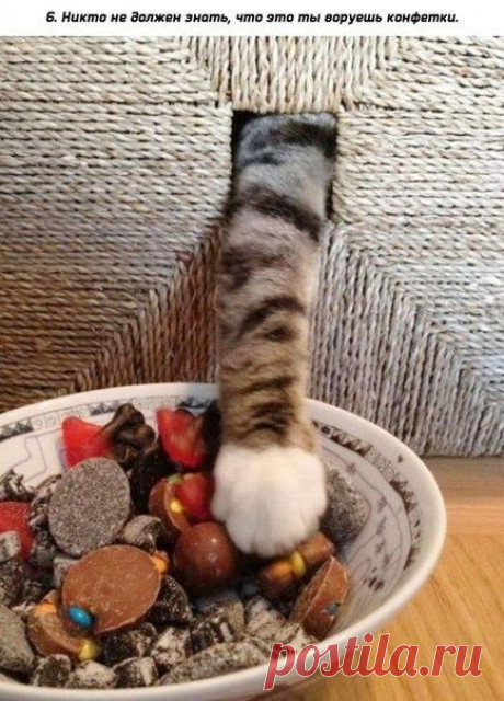 мм