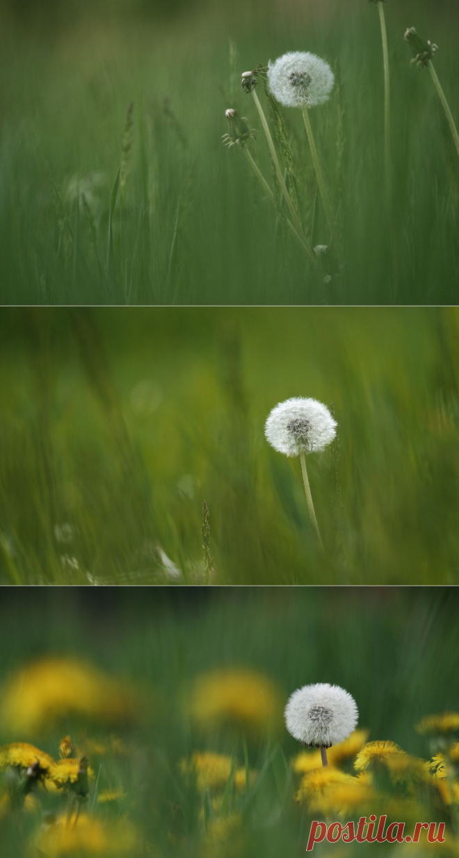 35PHOTO - Вадим Трунов - ***