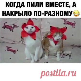 Светлана Найдёнова поделилась публикацией. - Светлана Найдёнова