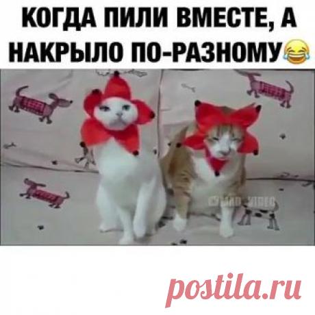 Светлана Найдёнова поделилась публикацией. - Светлана Найдёнова