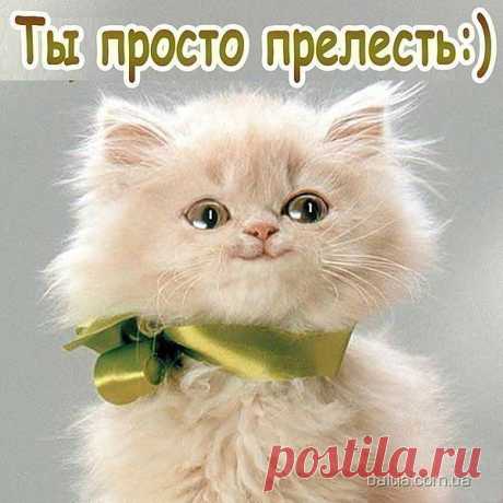 Комплимент для подружки!
