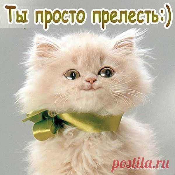 Комплимент для подружки!