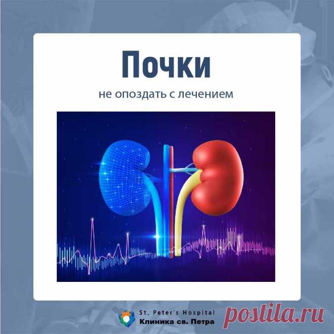 Почки: не опоздать с лечением | Клиника св. Петра (г. Сеул) | Дзен