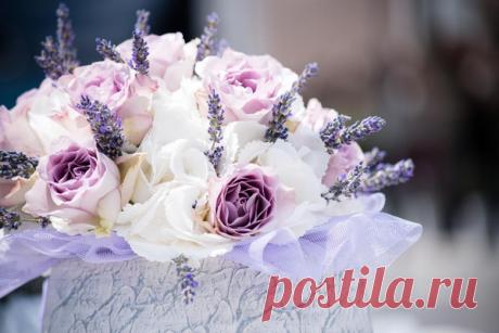 [тест] Какой ты цветок в свадебном букете? | Лаванда