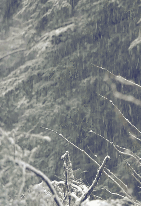 rain