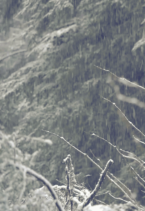 rain