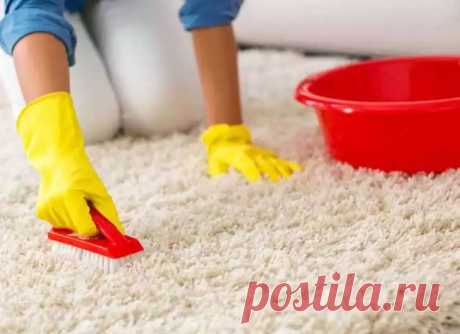 Эффект налицо: как вернуть ковру первоначальный вид при помощи простых бюджетных средств