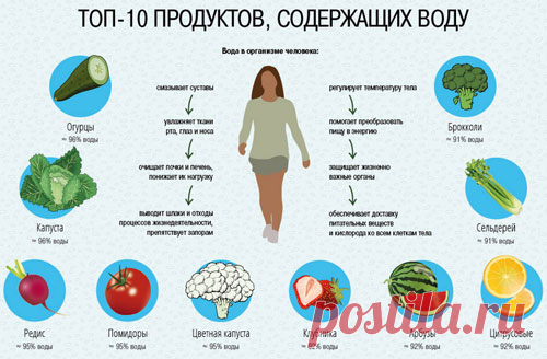 С чего начать правильное питание - как перейти, для похудения