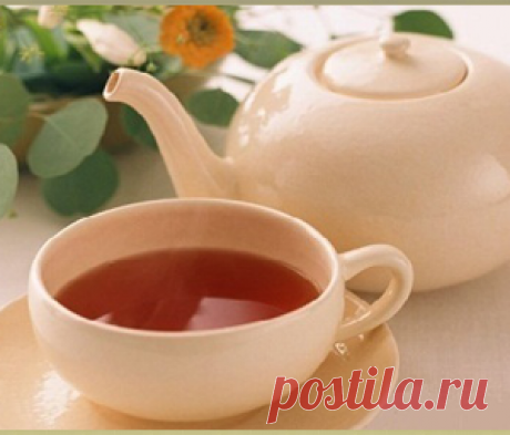 Целительный напиток - для здоровья. - МирТесен