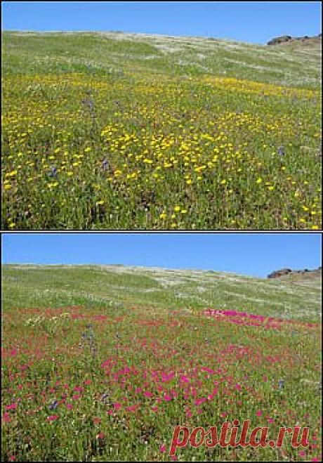 Массовая перекраска / Photoshop уроки и всё для фотошоп - новые уроки каждый день!