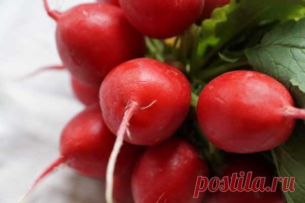 Редис — с весны до осени. СУПЕР СПОСОБ ВЫРАЩИВАНИЯ РЕДИСА!