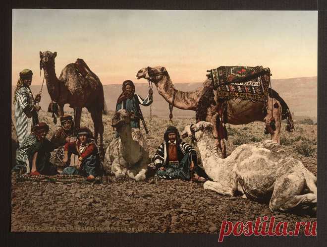 Как кочуют бедуины - Путешествуем вместе