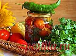 1000 лучших рецептов с пошаговыми фотографиями. Обучающий курс