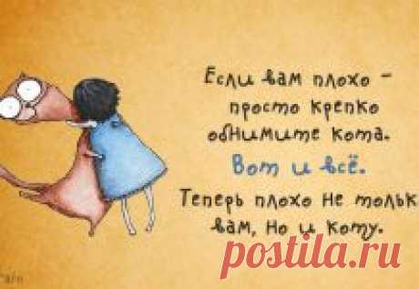 В зоопарк Сан-Диего завезли 26 тонн снега. Реакция белых медведей бесподобна