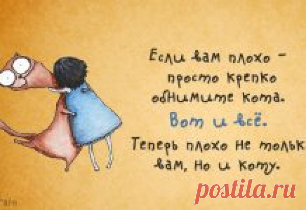 В зоопарк Сан-Диего завезли 26 тонн снега. Реакция белых медведей бесподобна