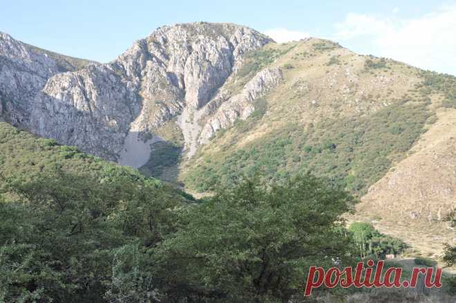 Южный Казахстан-это удивительная природа гор и цветущих степей,голубых горных озёр и шумных горных рек.Самобытная культура гостеприимного народа.Табуны лошадей,пасущиеся на живописных горных лугах,редкие хищные птицы,парящие в голубом небе...яркое горячее солнце...и восточные сказки звёздных ночей...Южный Казахстан-это моя любимая Родина! Покажу её во всей красе! Жду всех в гости!!