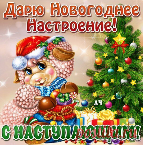 Моя страница вконтакте вход