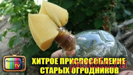 ХИТРОЕ ПРИСПОСОБЛЕНИЕ СТАРЫХ ОГОРОДНИКОВ СДЕЛАЙТЕ СЕБЕ ТАКОЕ