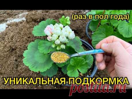 ОСМОКОТ - делюсь опытом использования. Стоит ли, и когда, и как применять?