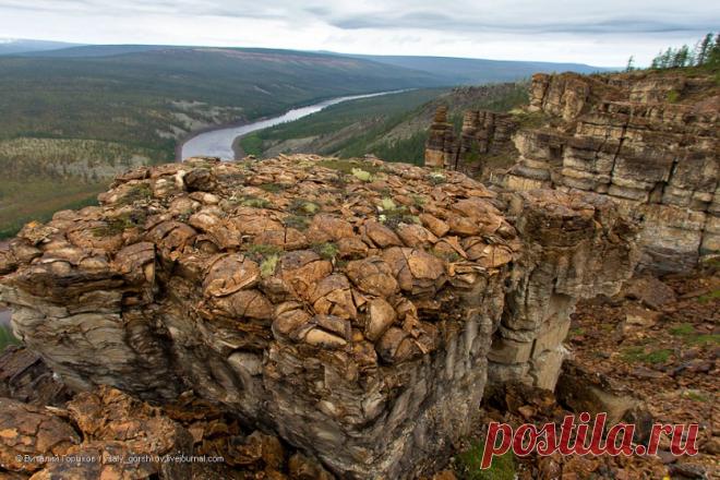 Строматолиты Анабара — Наука и жизнь