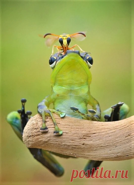 ROMANCE – Google+