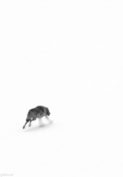 Новые Музыкальные видео