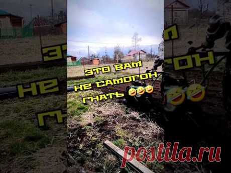 🧅агро-фитнес 🤗 #мотоблок #урожай #посадкалука