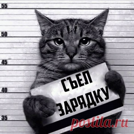 image (480×480)